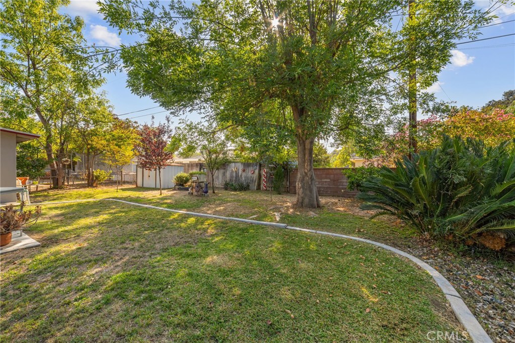 3924 Wayne Court Riverside, CA 92504 - Photo 3 of 31 a view of yard with swimming pool and trees
