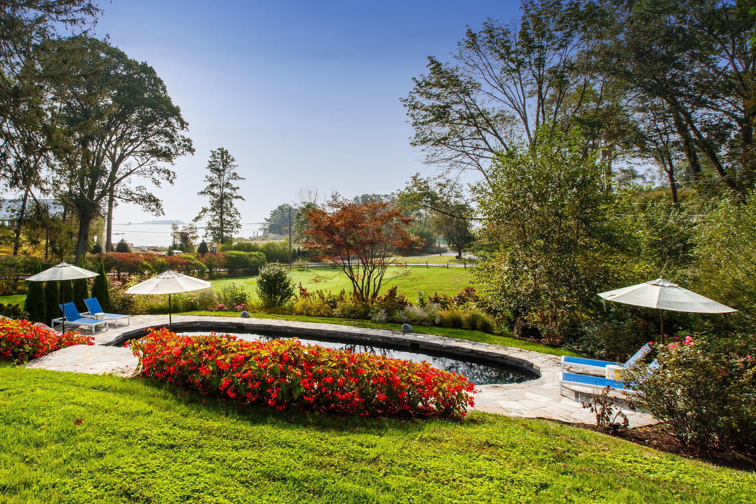 19 Shagbark Road Norwalk, CT 06854 - Photo 22 of 30 a view of a backyard with a garden and plants
