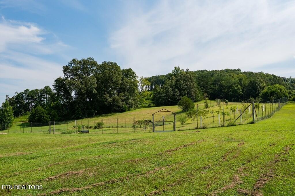 1518 Cummingsville And Sparkman Road Doyle, TN 38559 - Photo 39 of 58