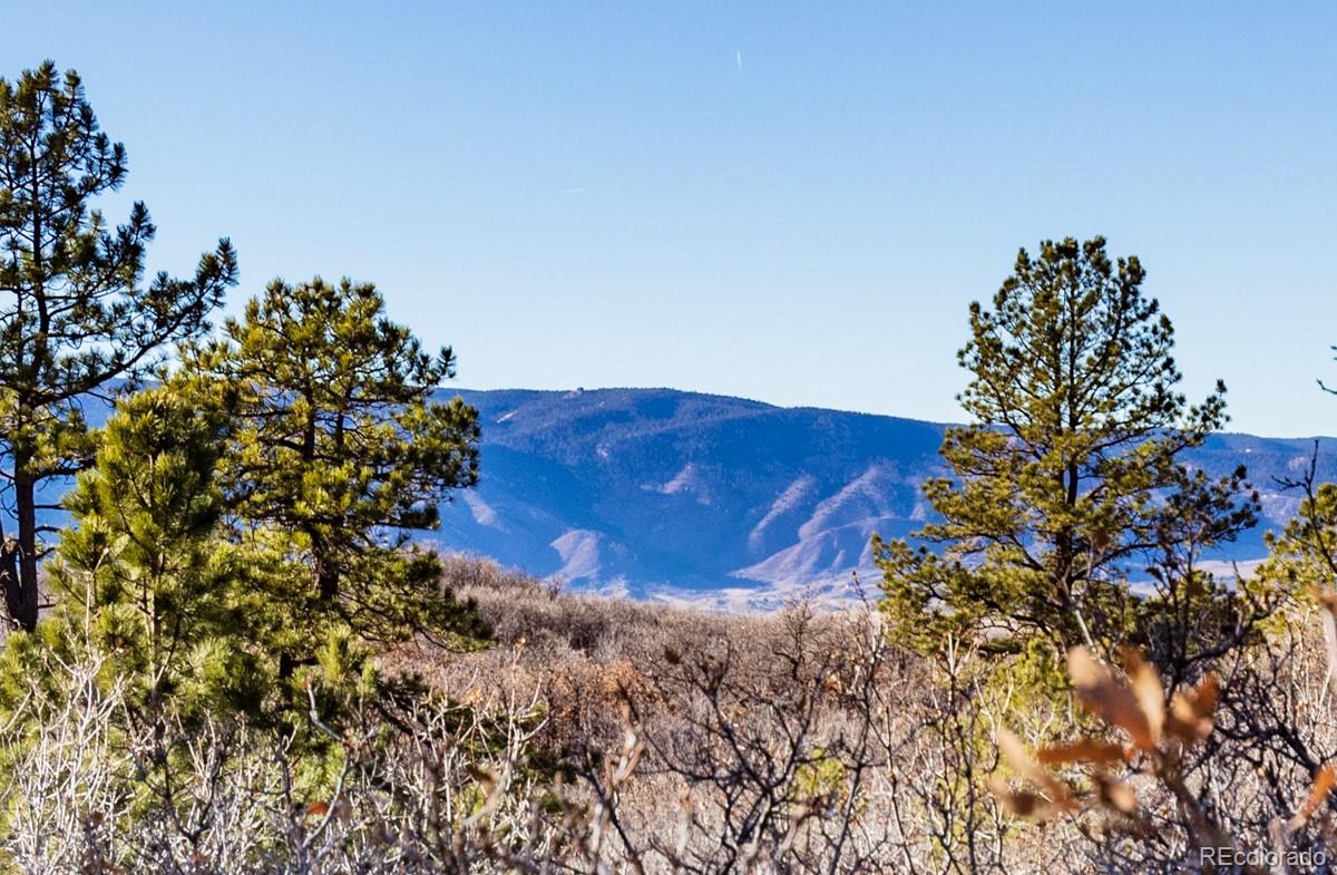 6745 Balsamroot Road Larkspur, CO 80118 - Photo 1 of 10 Gallery Image 1