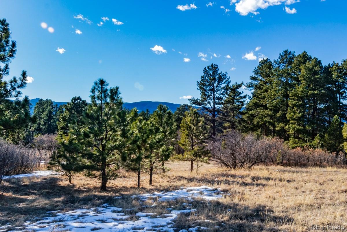 6745 Balsamroot Road Larkspur, CO 80118 - Photo 3 of 10 Gallery Image 3