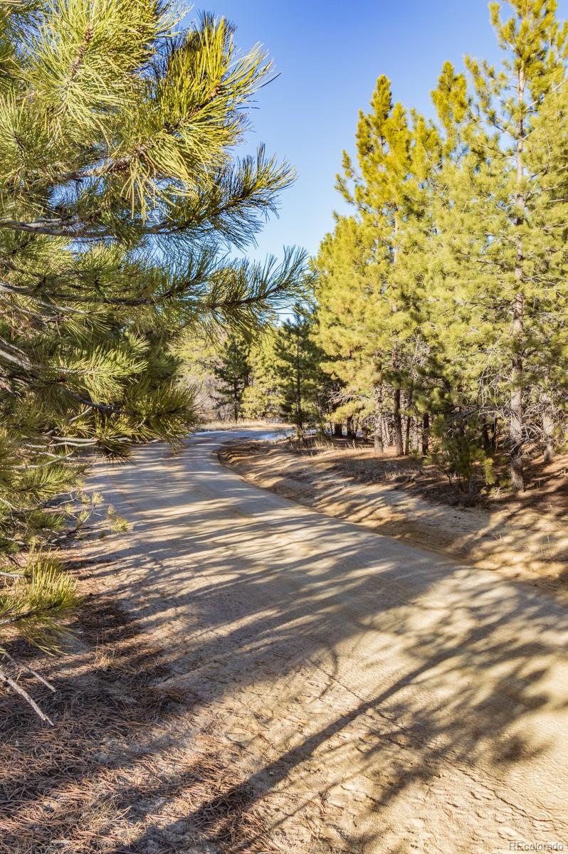 6745 Balsamroot Road Larkspur, CO 80118 - Photo 5 of 10 Gallery Image 5