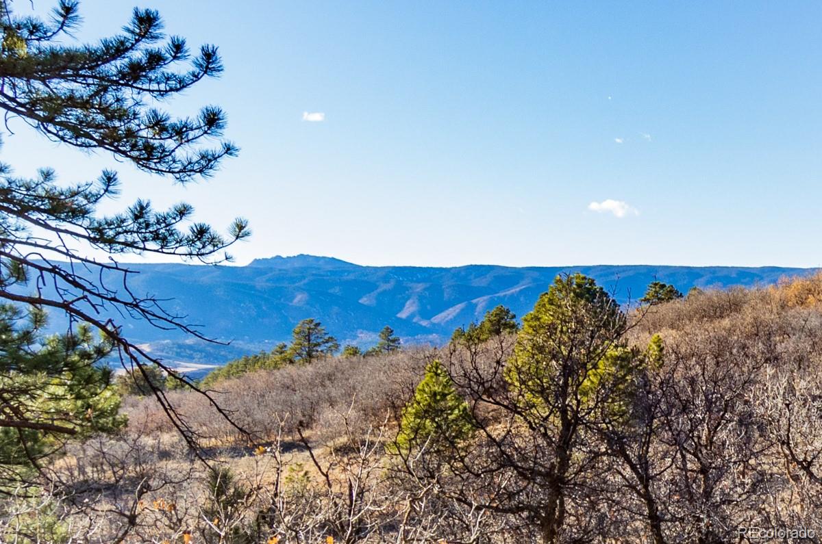 6745 Balsamroot Road Larkspur, CO 80118 - Photo 6 of 10 Gallery Image 6