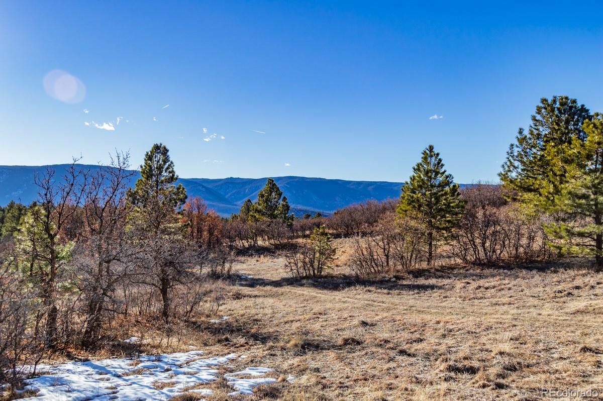 6745 Balsamroot Road Larkspur, CO 80118 - Photo 7 of 10 Gallery Image 7