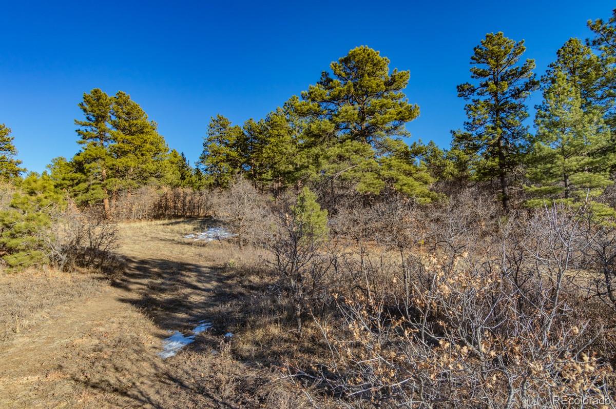 6745 Balsamroot Road Larkspur, CO 80118 - Photo 8 of 10 Gallery Image 8