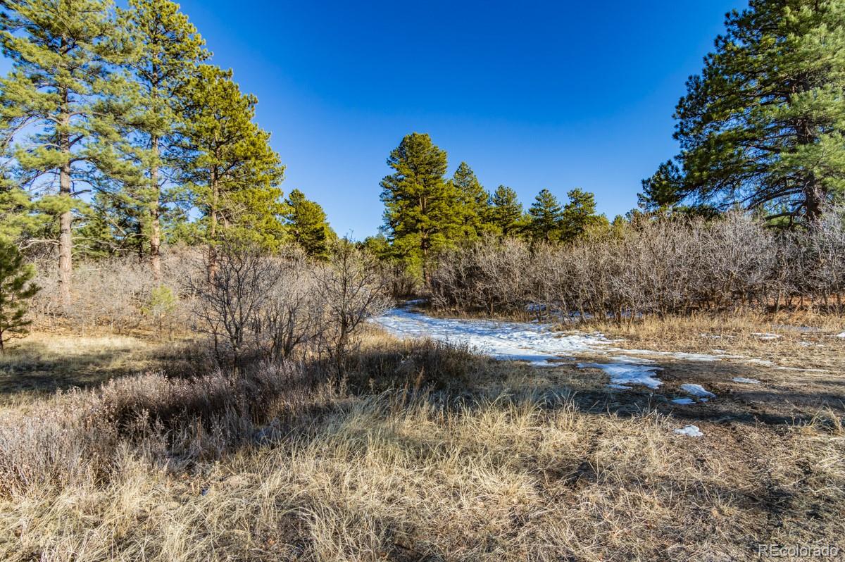 6745 Balsamroot Road Larkspur, CO 80118 - Photo 9 of 10 Gallery Image 9