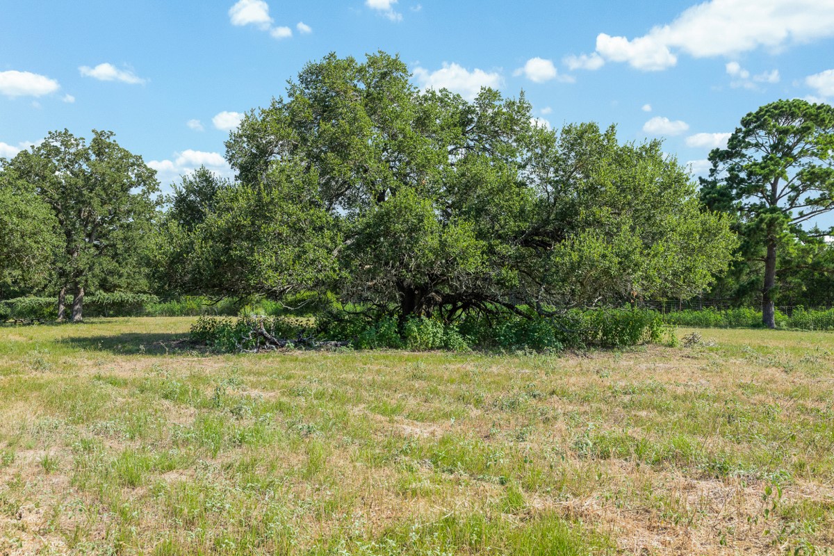 2524 Sandy Fork Road Harwood, TX 78632 - Photo 34 of 40