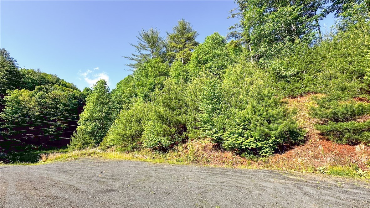 Tbd-13 Peck Peak Road Jefferson, NC 28640 - Photo 1 of 14