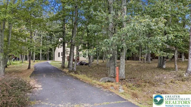a view of a tree in the middle of a yard