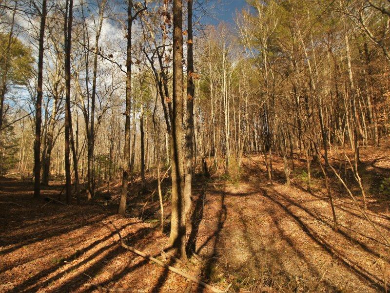 1 Epperson Road Tellico Plains, TN 37385 - Photo 1 of 40 IMG_3418