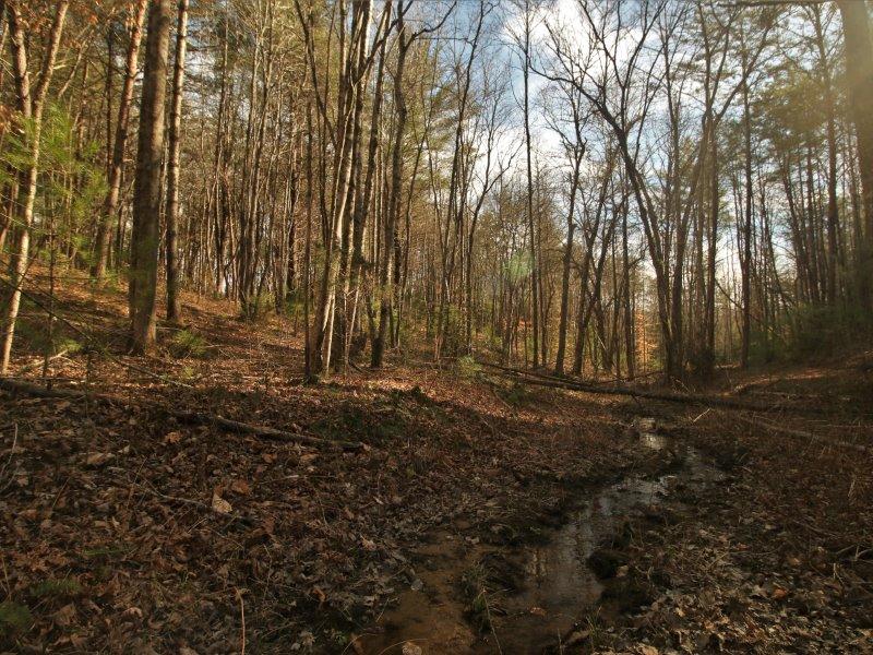1 Epperson Road Tellico Plains, TN 37385 - Photo 2 of 40 IMG_3410