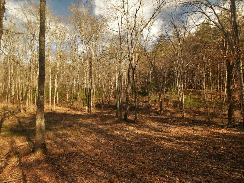 1 Epperson Road Tellico Plains, TN 37385 - Photo 13 of 40 IMG_3408