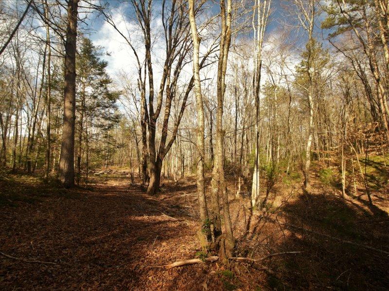 1 Epperson Road Tellico Plains, TN 37385 - Photo 15 of 40 IMG_3413