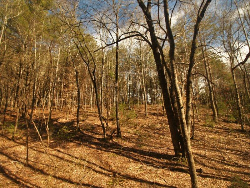 1 Epperson Road Tellico Plains, TN 37385 - Photo 16 of 40 IMG_3417