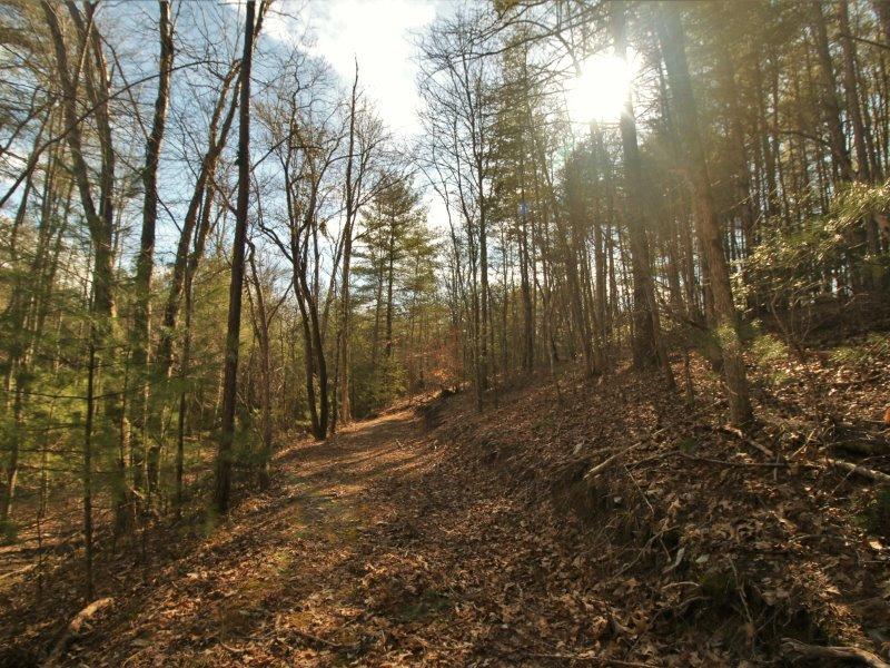 1 Epperson Road Tellico Plains, TN 37385 - Photo 17 of 40 IMG_3420