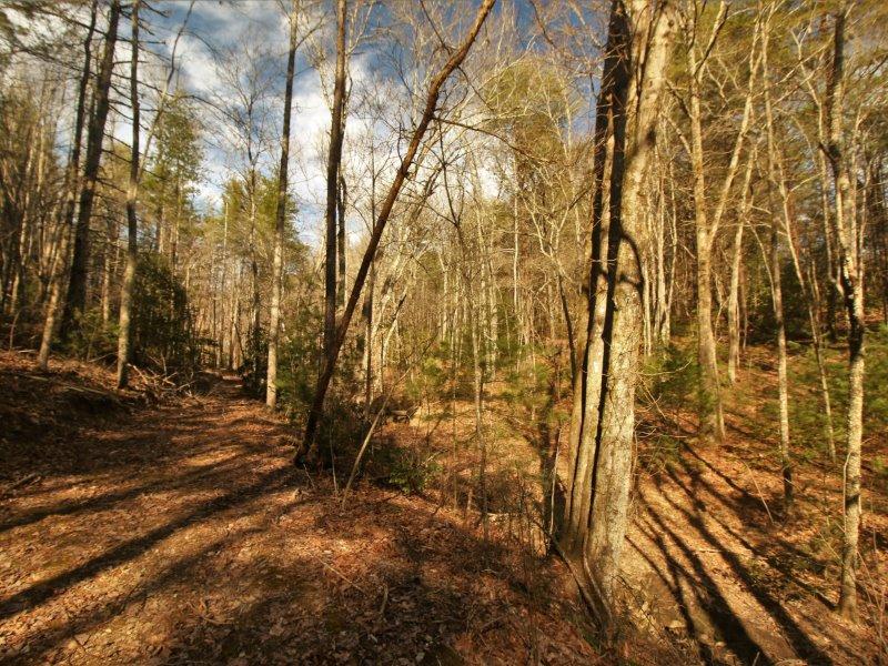 1 Epperson Road Tellico Plains, TN 37385 - Photo 19 of 40 IMG_3422