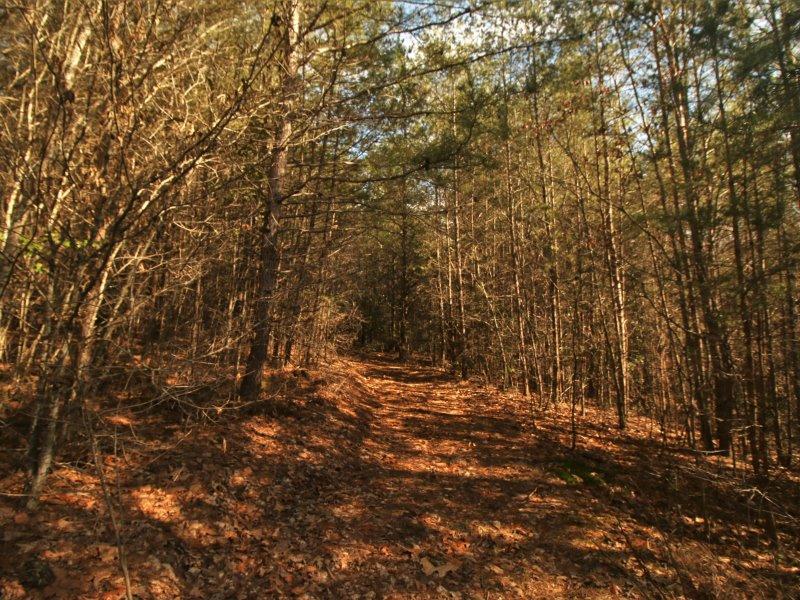 1 Epperson Road Tellico Plains, TN 37385 - Photo 20 of 40 IMG_3426