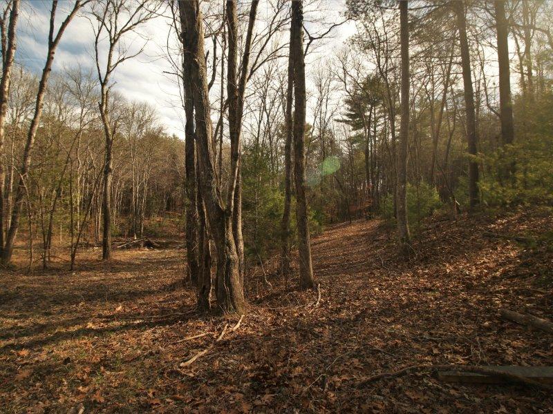 1 Epperson Road Tellico Plains, TN 37385 - Photo 3 of 40 IMG_3398