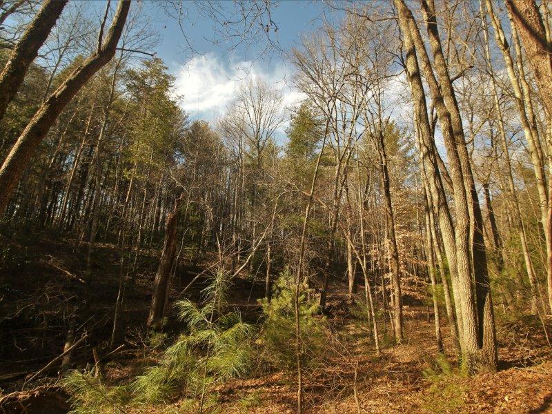 1 Epperson Road Tellico Plains, TN 37385 - Photo 22 of 40 IMG_3430