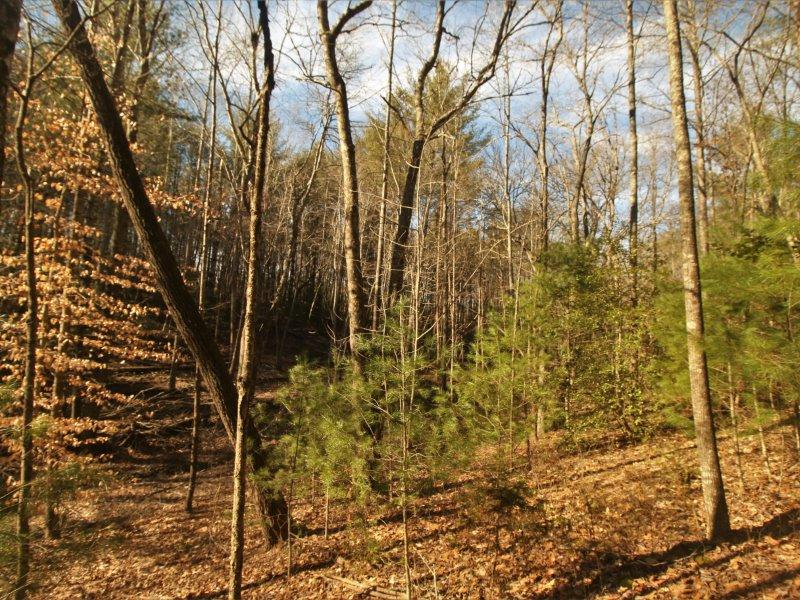 1 Epperson Road Tellico Plains, TN 37385 - Photo 23 of 40 IMG_3431