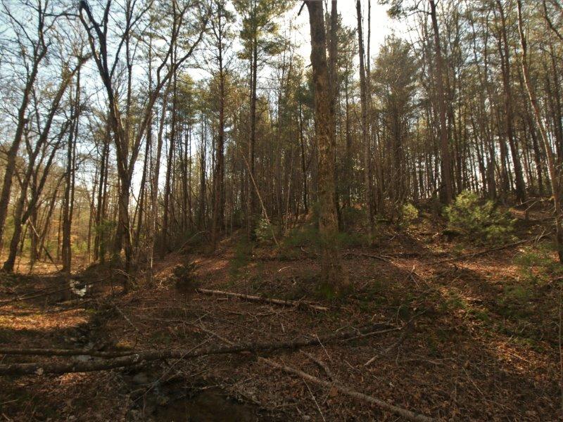 1 Epperson Road Tellico Plains, TN 37385 - Photo 27 of 40 IMG_3446