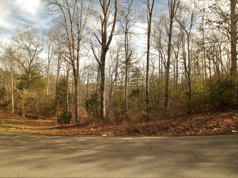 1 Epperson Road Tellico Plains, TN 37385 - Photo 29 of 40 IMG_3388