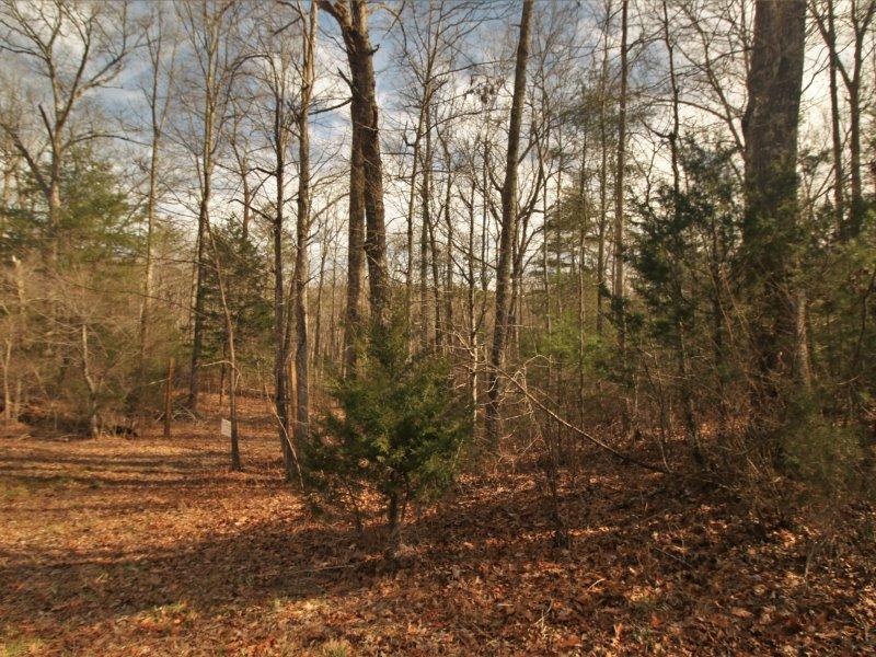 1 Epperson Road Tellico Plains, TN 37385 - Photo 30 of 40 IMG_3391