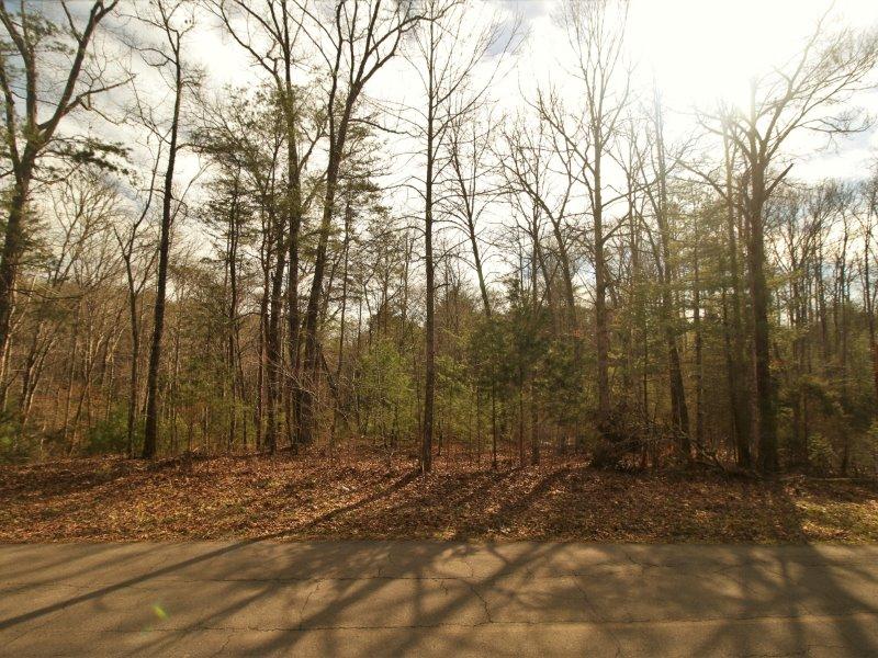 1 Epperson Road Tellico Plains, TN 37385 - Photo 4 of 40 IMG_3396
