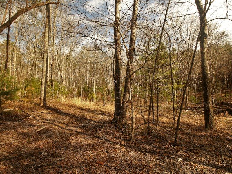 1 Epperson Road Tellico Plains, TN 37385 - Photo 31 of 40 IMG_3400