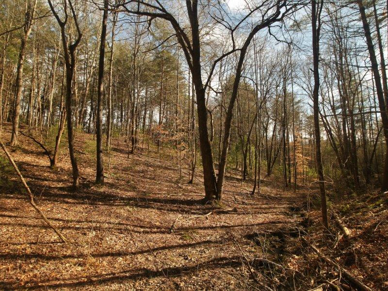 1 Epperson Road Tellico Plains, TN 37385 - Photo 33 of 40 IMG_3416