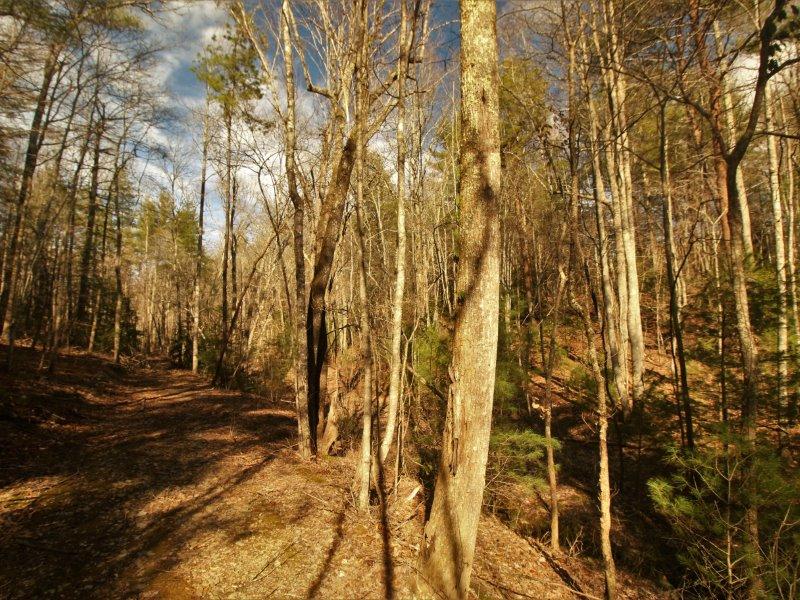 1 Epperson Road Tellico Plains, TN 37385 - Photo 34 of 40 IMG_3423