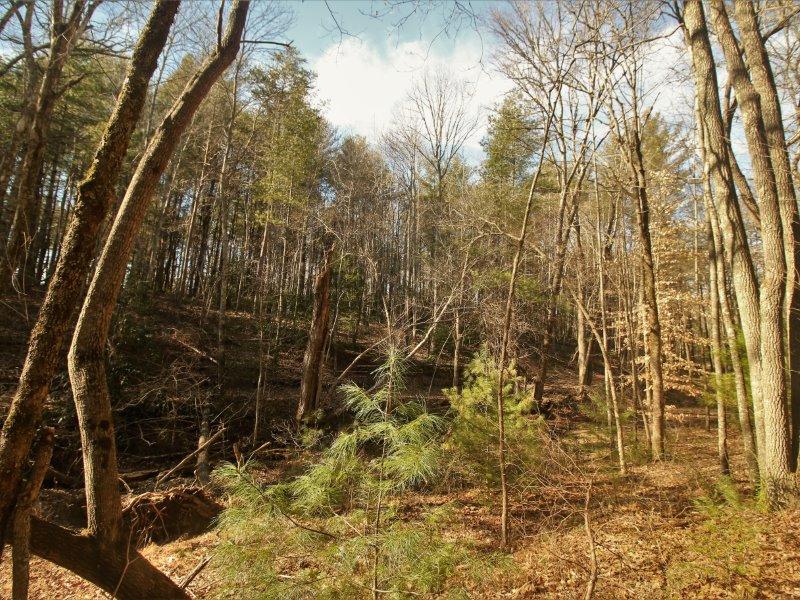 1 Epperson Road Tellico Plains, TN 37385 - Photo 35 of 40 IMG_3429