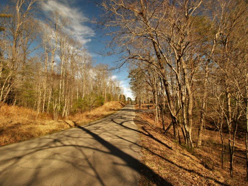 1 Epperson Road Tellico Plains, TN 37385 - Photo 5 of 40 IMG_3454