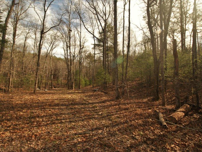 1 Epperson Road Tellico Plains, TN 37385 - Photo 7 of 40 IMG_3392