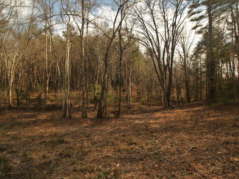 1 Epperson Road Tellico Plains, TN 37385 - Photo 9 of 40 IMG_3404