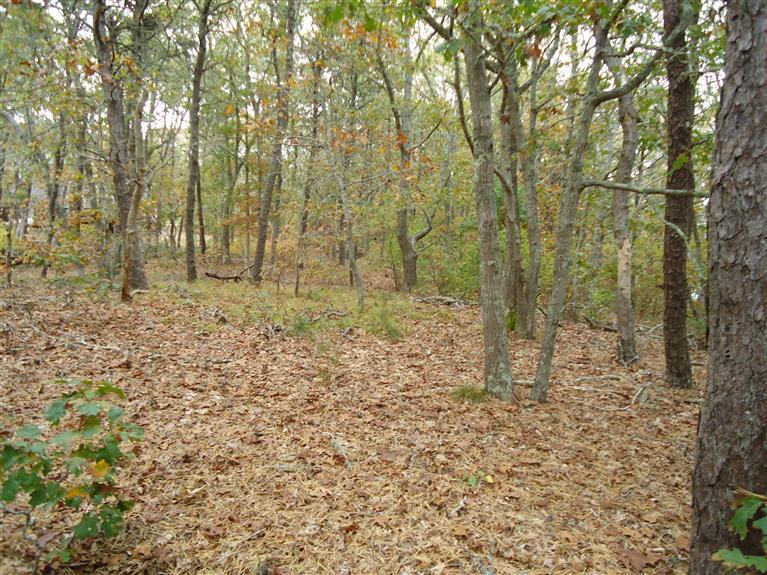 139 Ridgevale Road Chatham, MA 02633 - Photo 5 of 7 Additional Photo