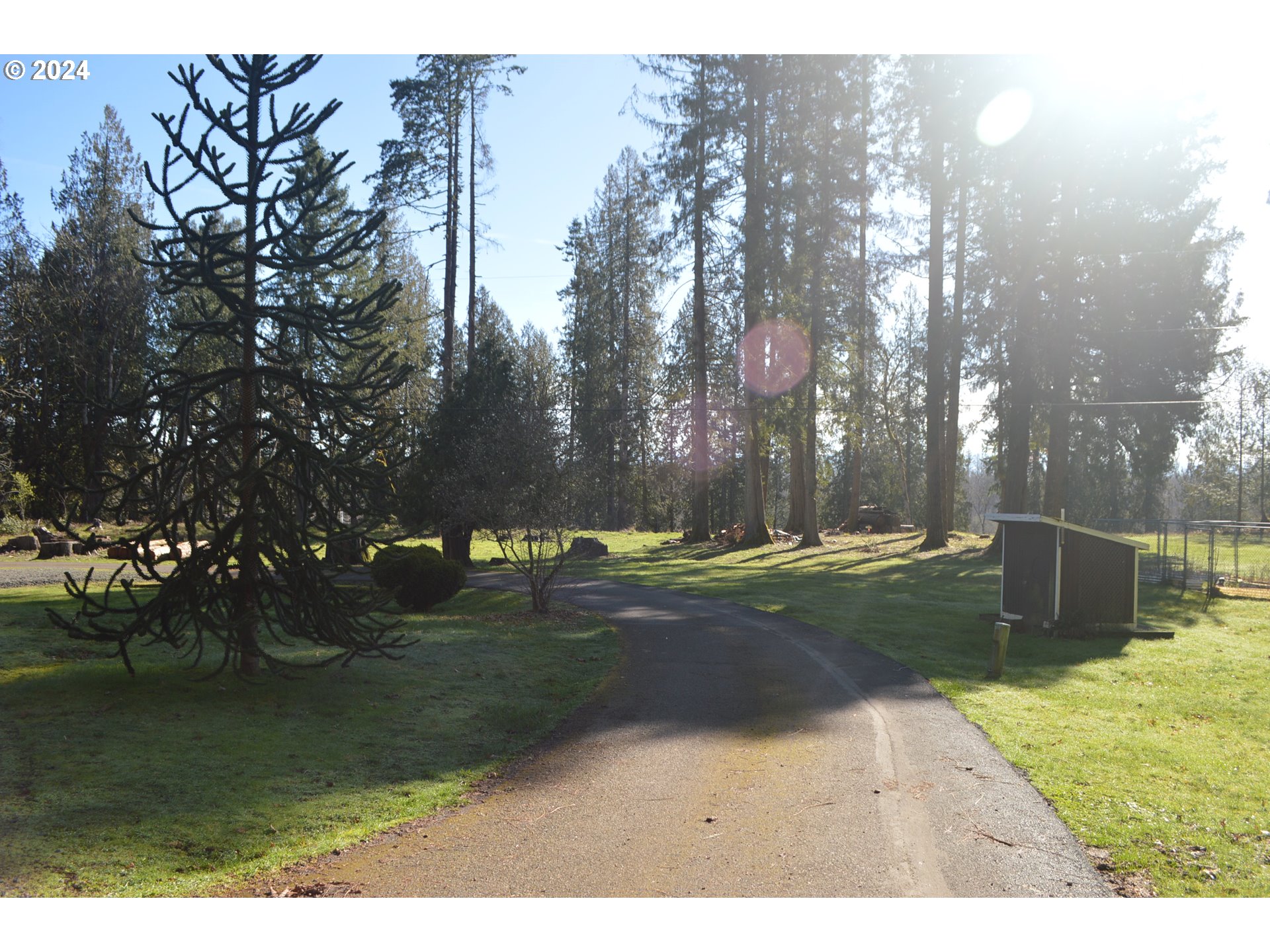17524 South Palmer Road Oregon City, OR 97045 - Photo 4 of 26 a view of a yard