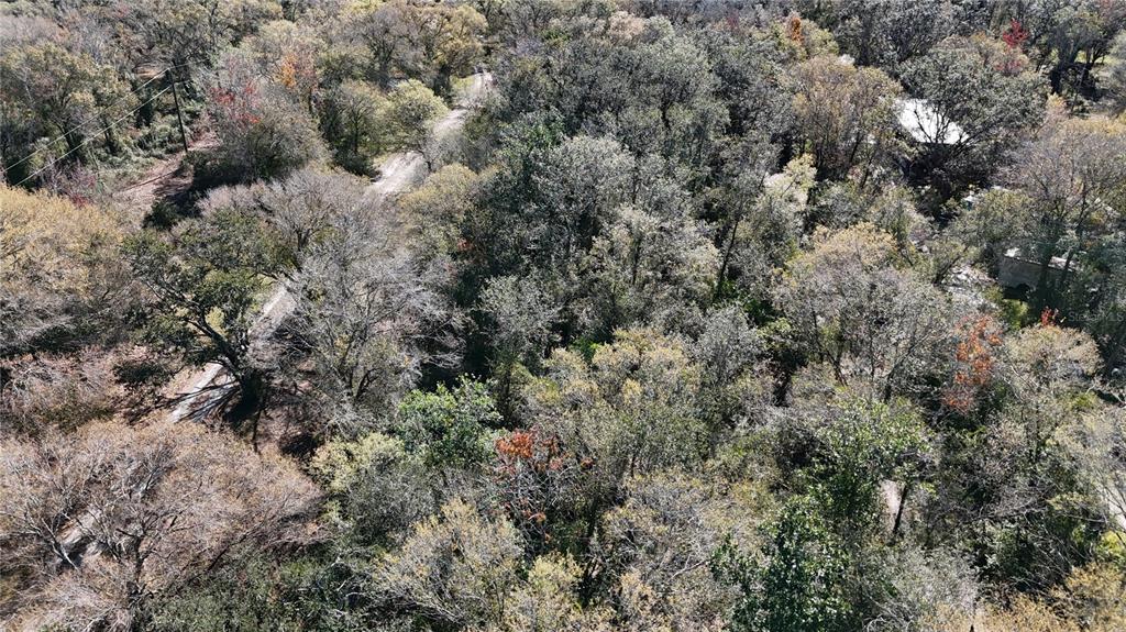 36424 Singletary Road Myakka City, FL 34251 - Photo 4 of 5 a view of a forest with houses