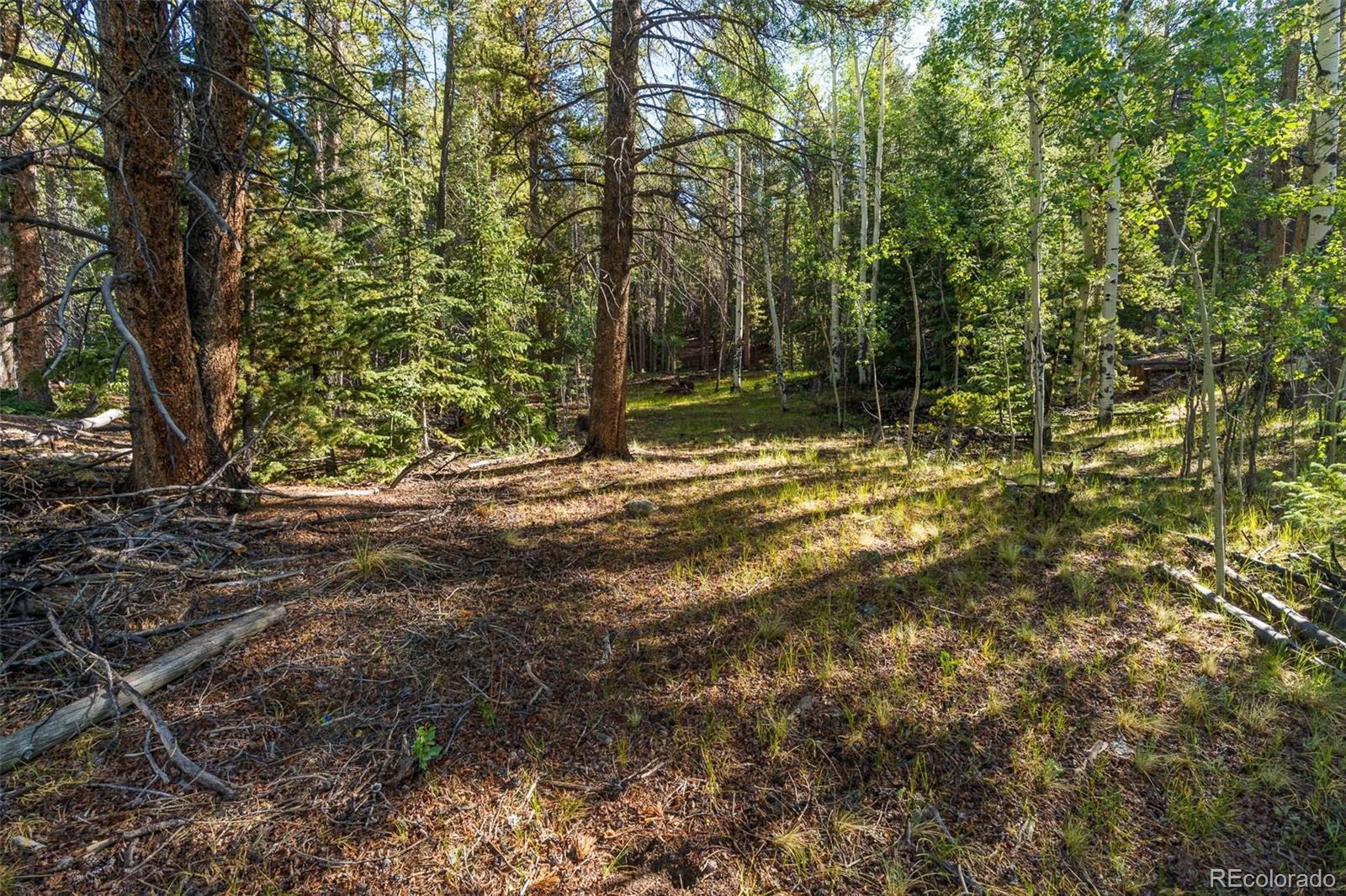 Lot 1 Snow Cap Peaks Road Fairplay, CO 80440 - Photo 15 of 20