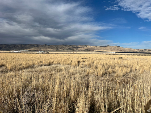 1065 Goshen Canyon Road, Unit 2 Mona, UT 84645 - Photo 2 of 21 Mountain view featuring rural landscape