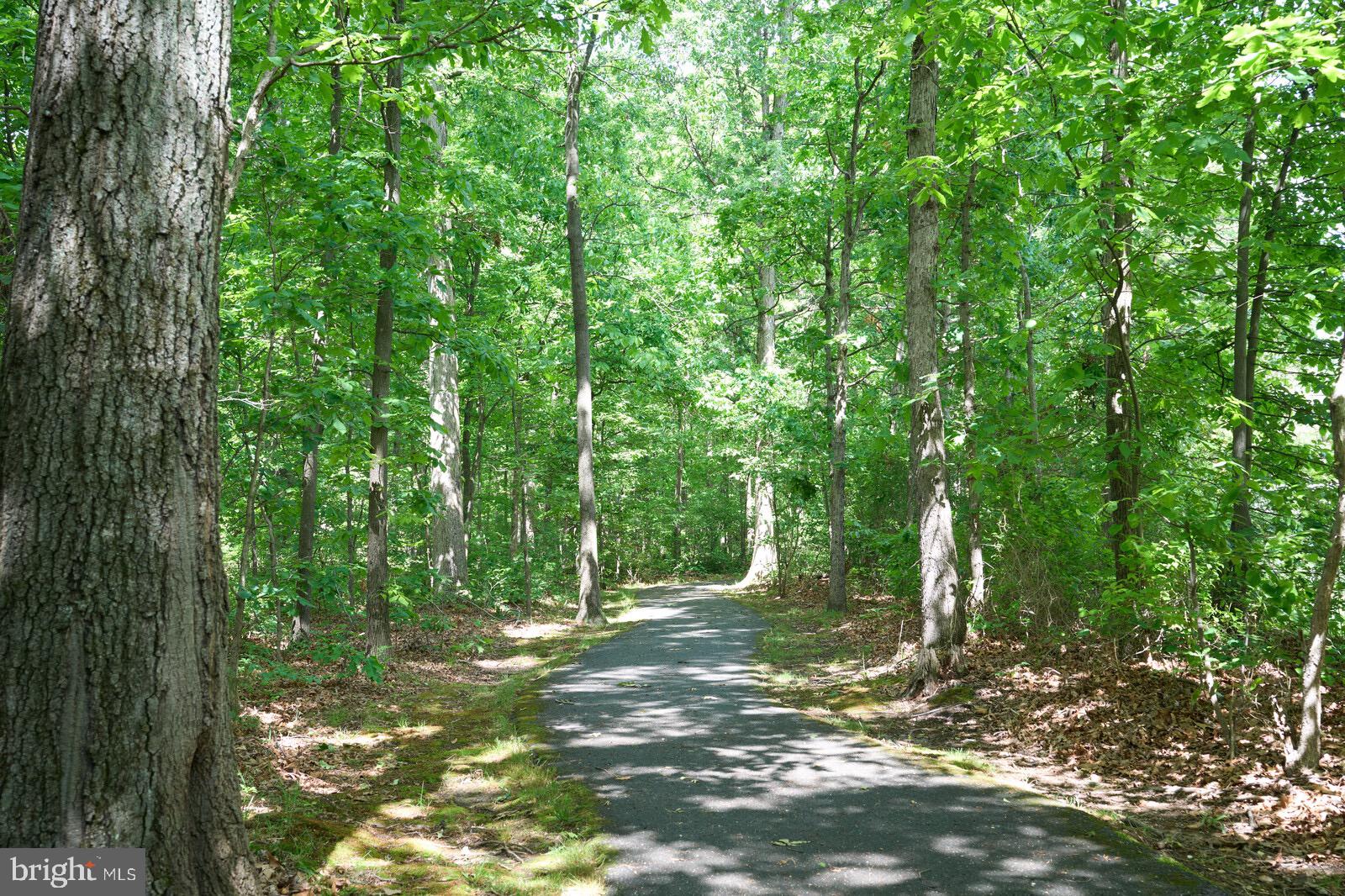 13132 Brooktree Lane Laurel, MD 20707 - Photo 30 of 35 NATURE AT IT'S BEST HERE !