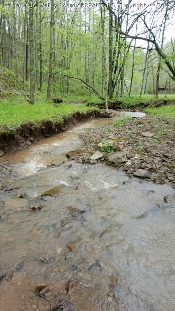 2130 Jones Ridge Road Gandeeville, WV 25243 - Photo 29 of 30 Gallery Image 29
