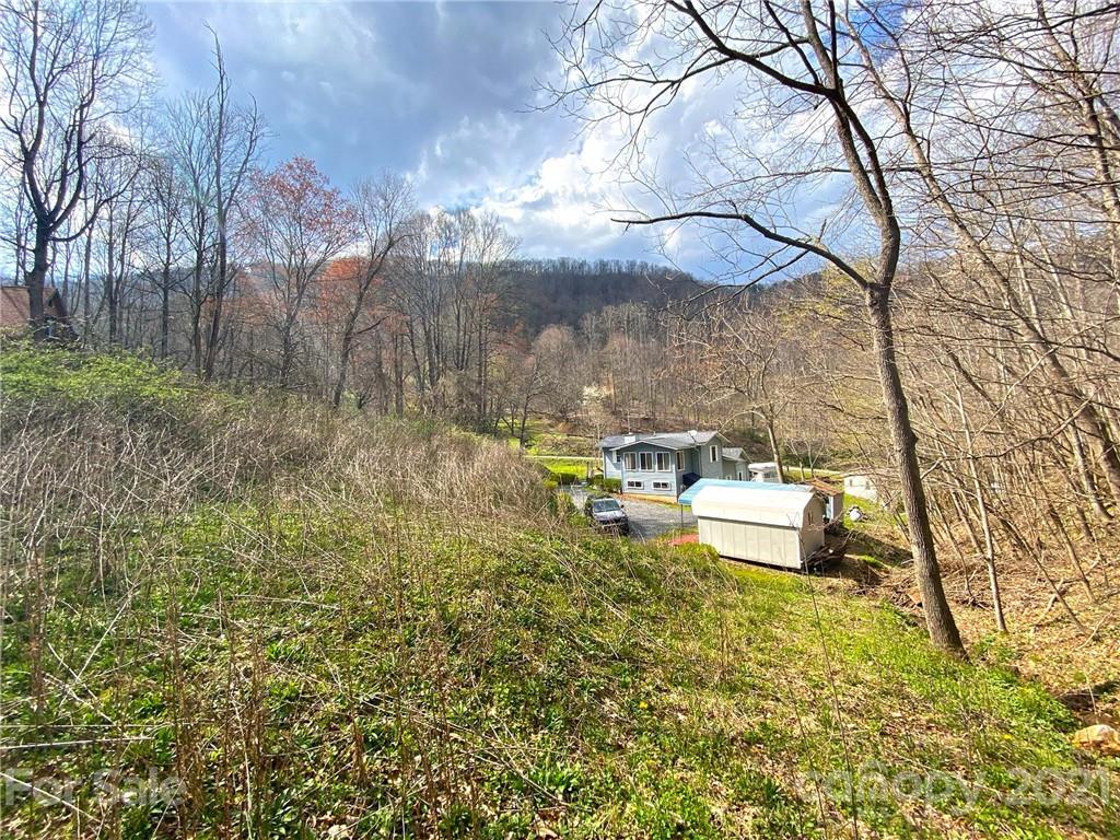 1841 Mauney Cove Road Waynesville, NC 28786 - Photo 4 of 28 Gallery Image 4