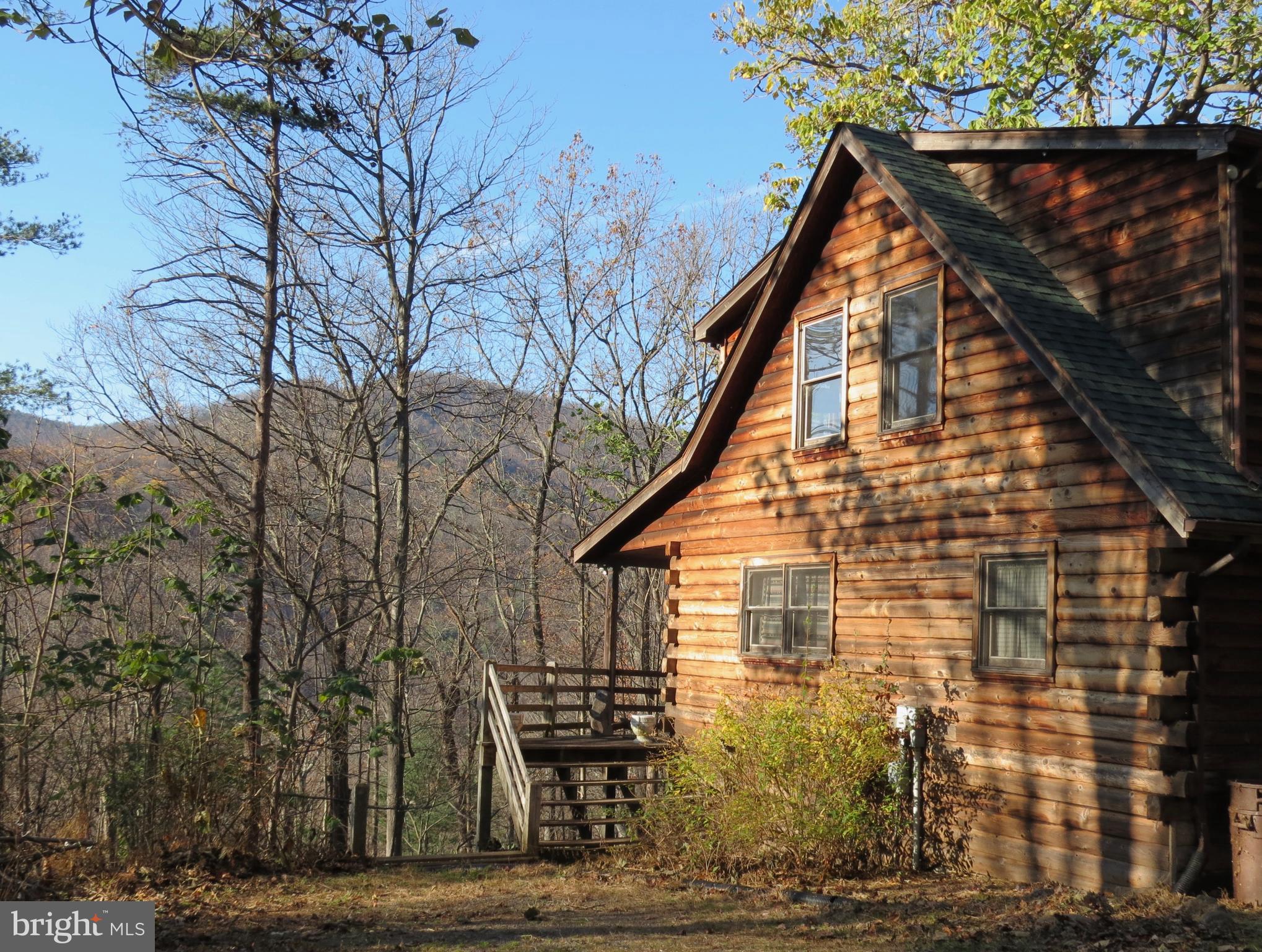 67 Briar Ridge Lane Sperryville, VA 22740 - Photo 1 of 16 Cabin on 31 acres overlooking Blue Ridge Mts