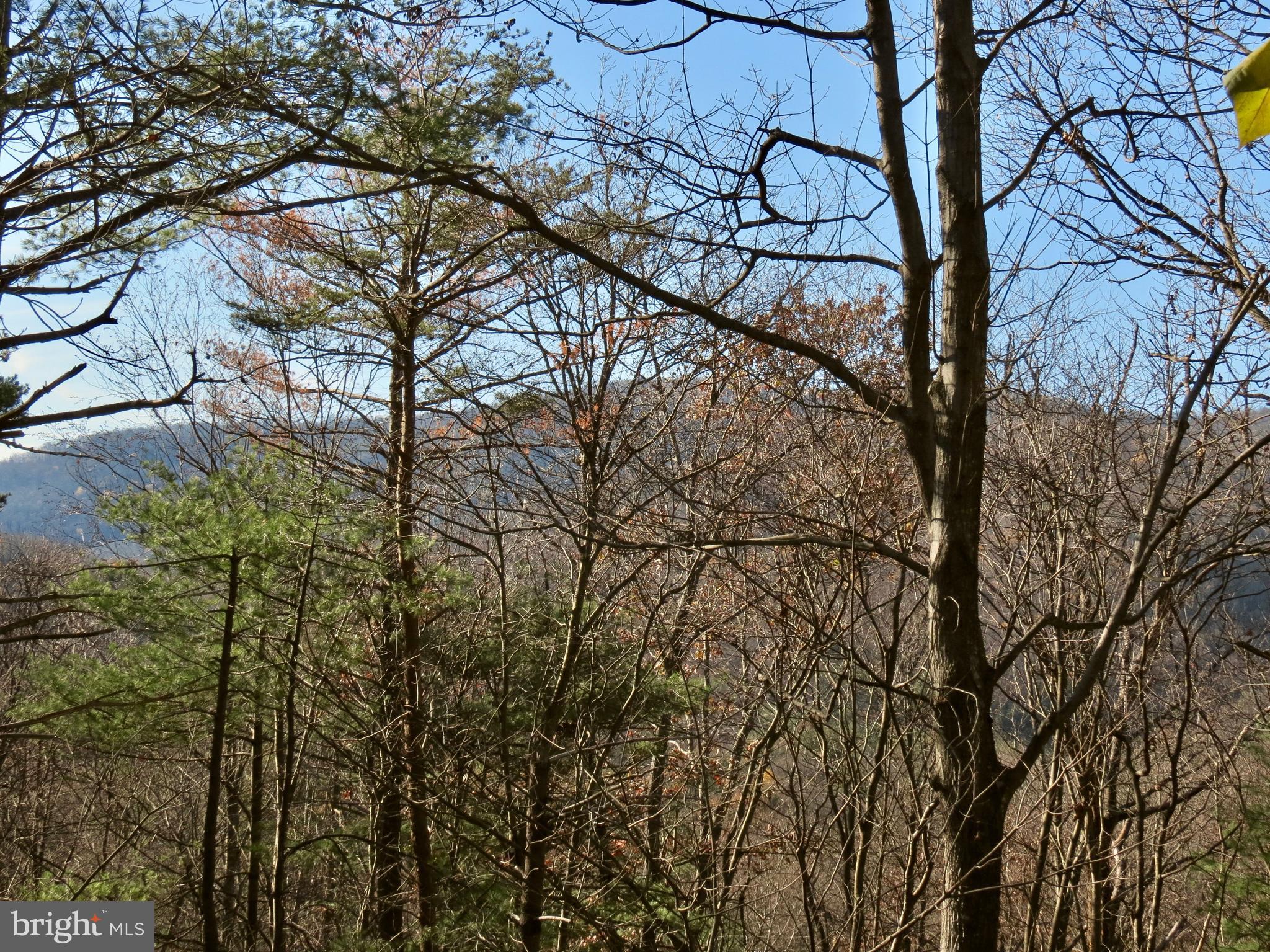 67 Briar Ridge Lane Sperryville, VA 22740 - Photo 2 of 16 View from back deck