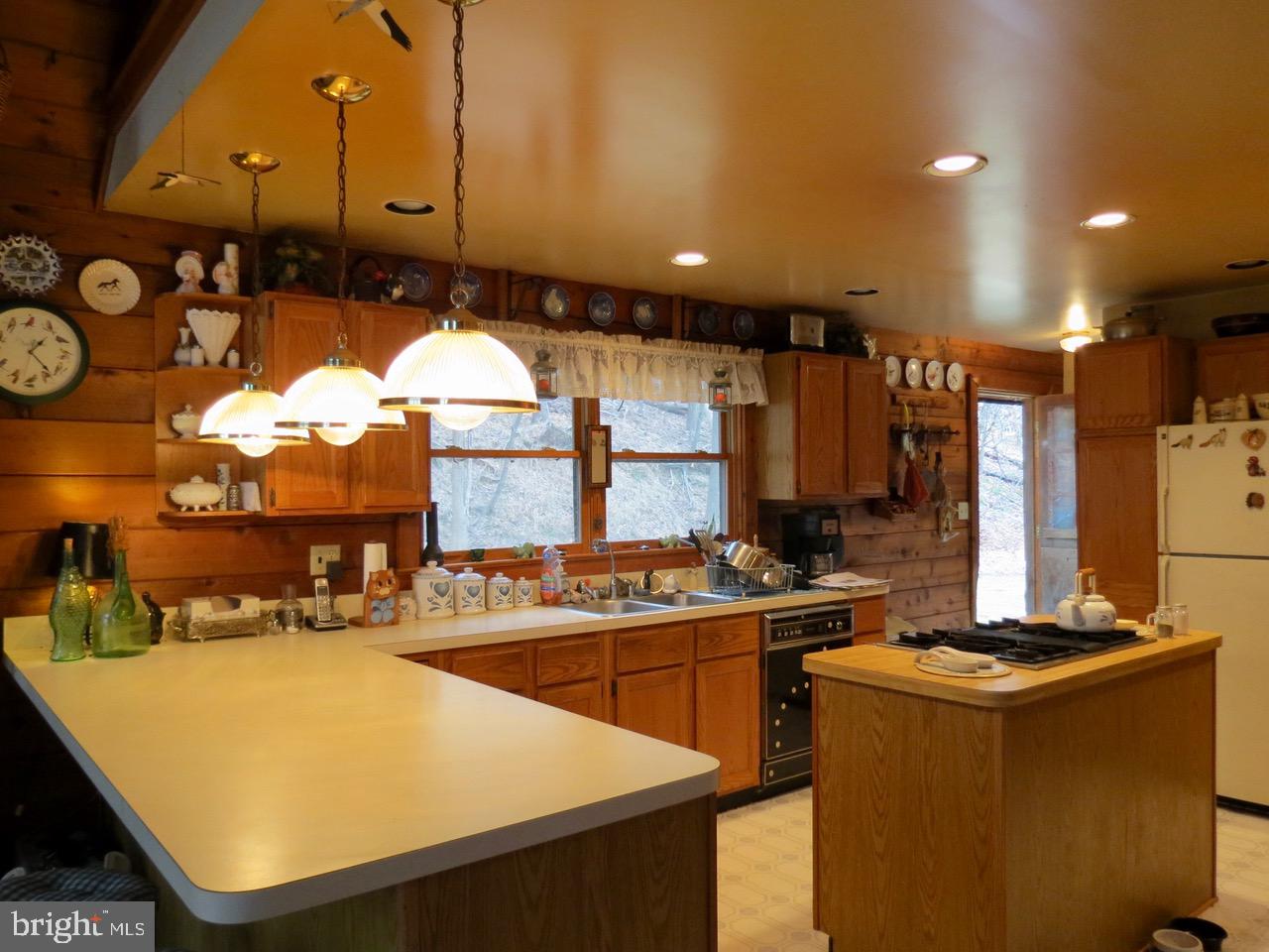 67 Briar Ridge Lane Sperryville, VA 22740 - Photo 11 of 16 Kitchen 2
