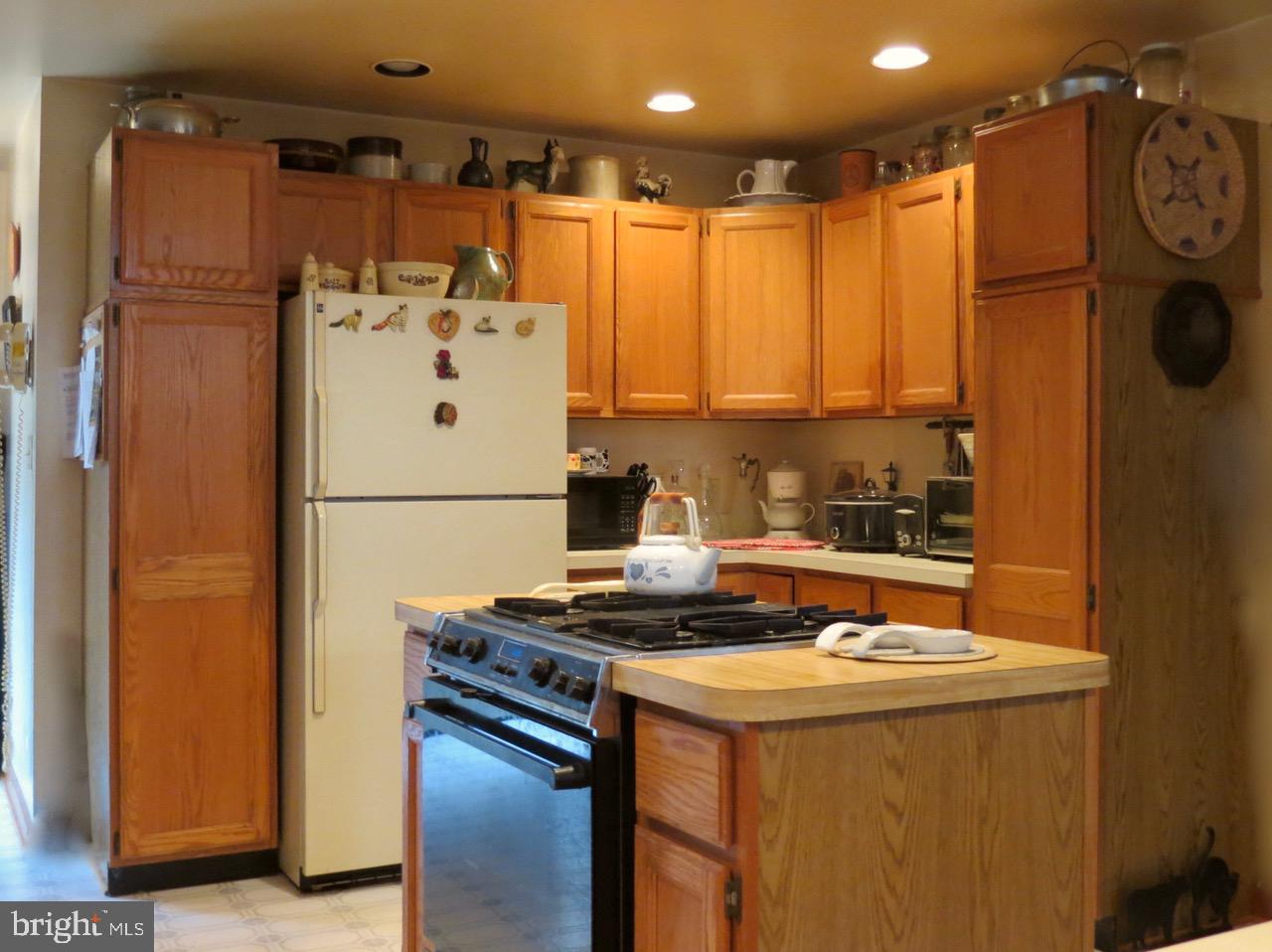 67 Briar Ridge Lane Sperryville, VA 22740 - Photo 12 of 16 Kitchen 3