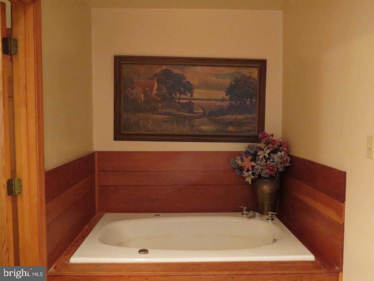 67 Briar Ridge Lane Sperryville, VA 22740 - Photo 14 of 16 Main floor Bath soaking tub
