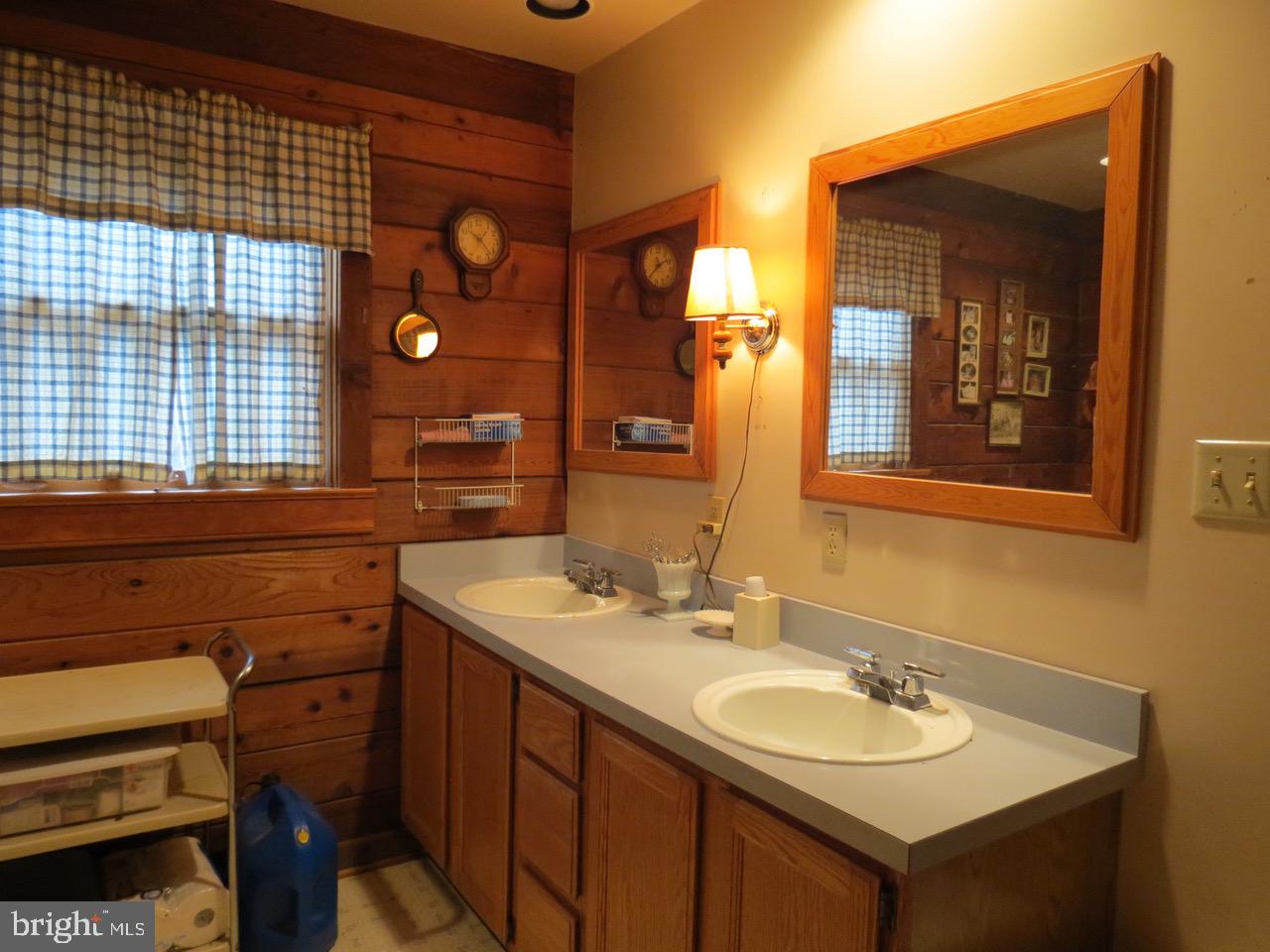 67 Briar Ridge Lane Sperryville, VA 22740 - Photo 15 of 16 Main floor Bath double sinks