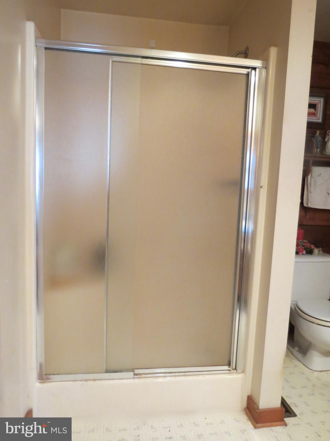 67 Briar Ridge Lane Sperryville, VA 22740 - Photo 16 of 16 Main floor Bath shower